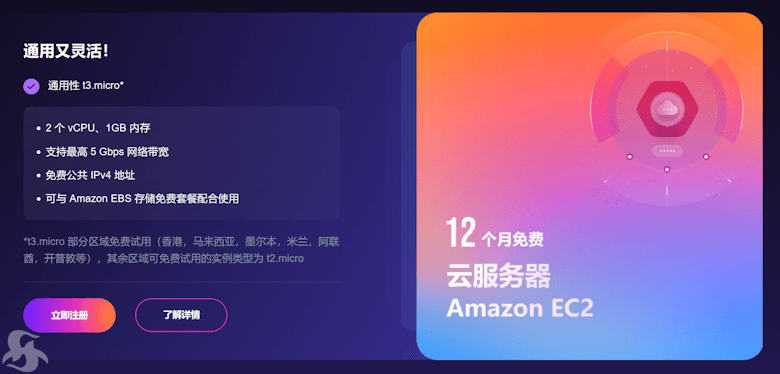年终促销亚马逊云亚马逊云申请免费VPS服务器1年和轻量服务器1年 - 第3张